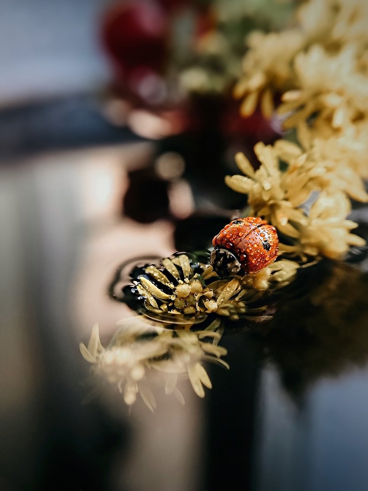 Photograph by Наталья Мальцева