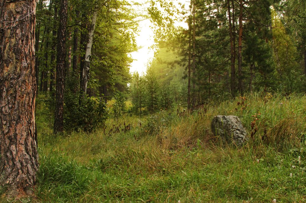 Photograph by Валерий Шорохов