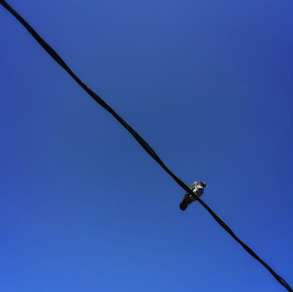 Photograph by Наталья Мальцева