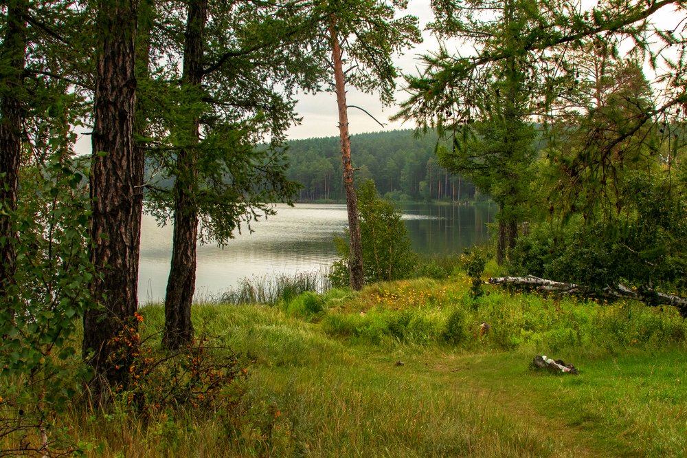 Photograph by Валерий Шорохов