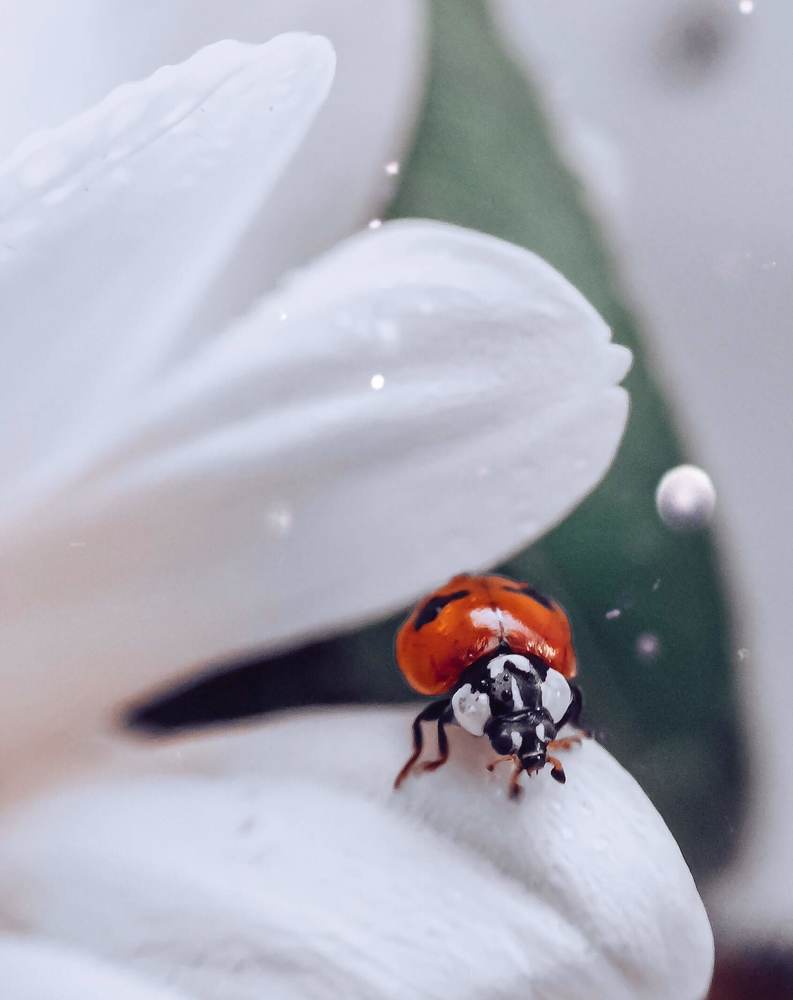 Photograph by Наталья Мальцева