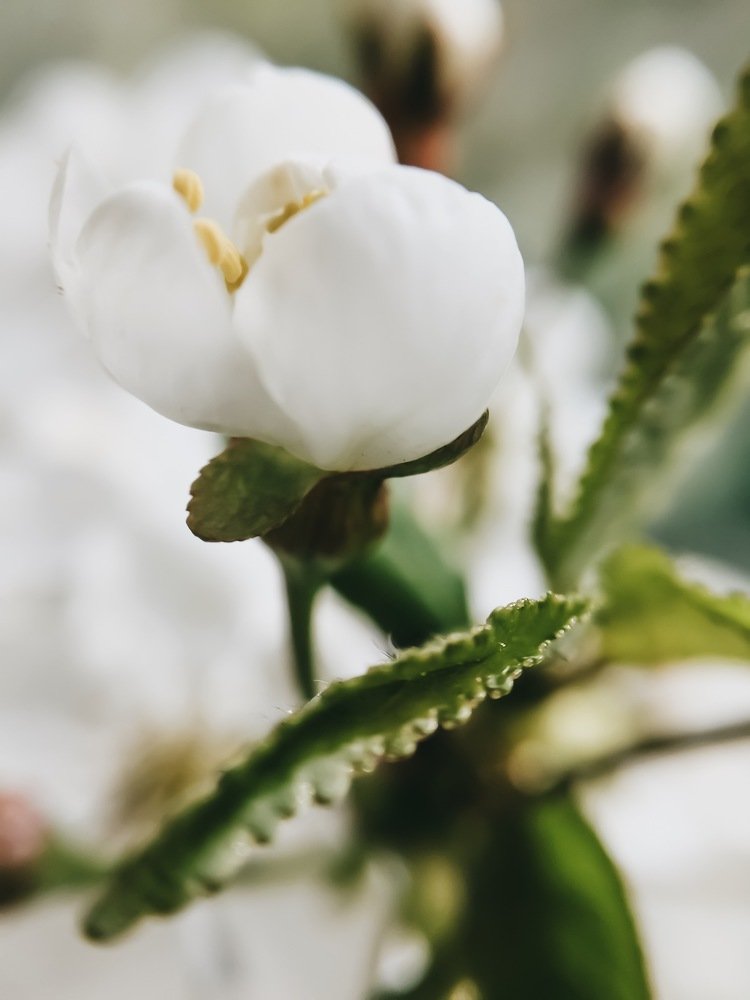 Photograph by Наталья Мальцева