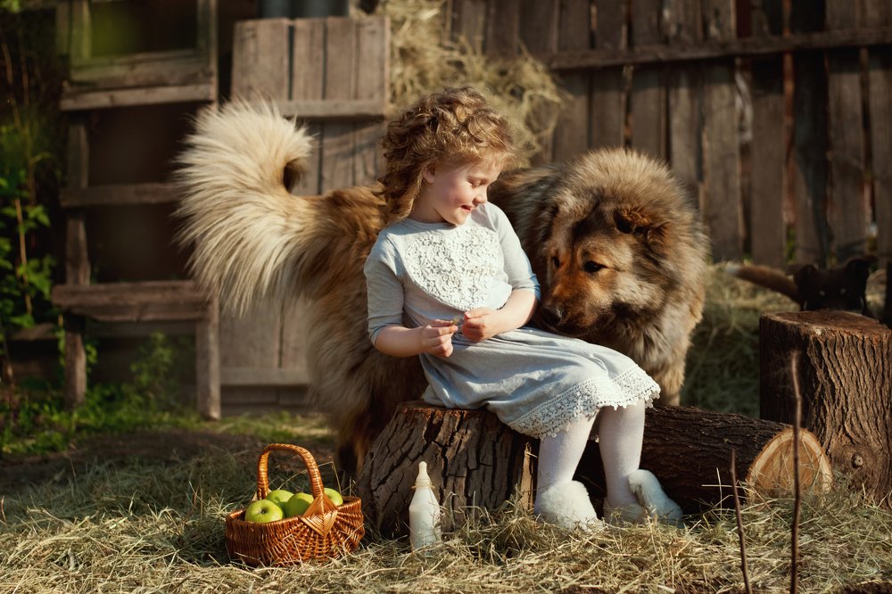 Photograph by Светлана Сидоренко