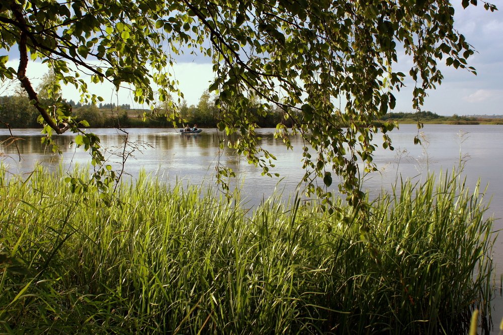 Фотография автора Nelya  Lysenko