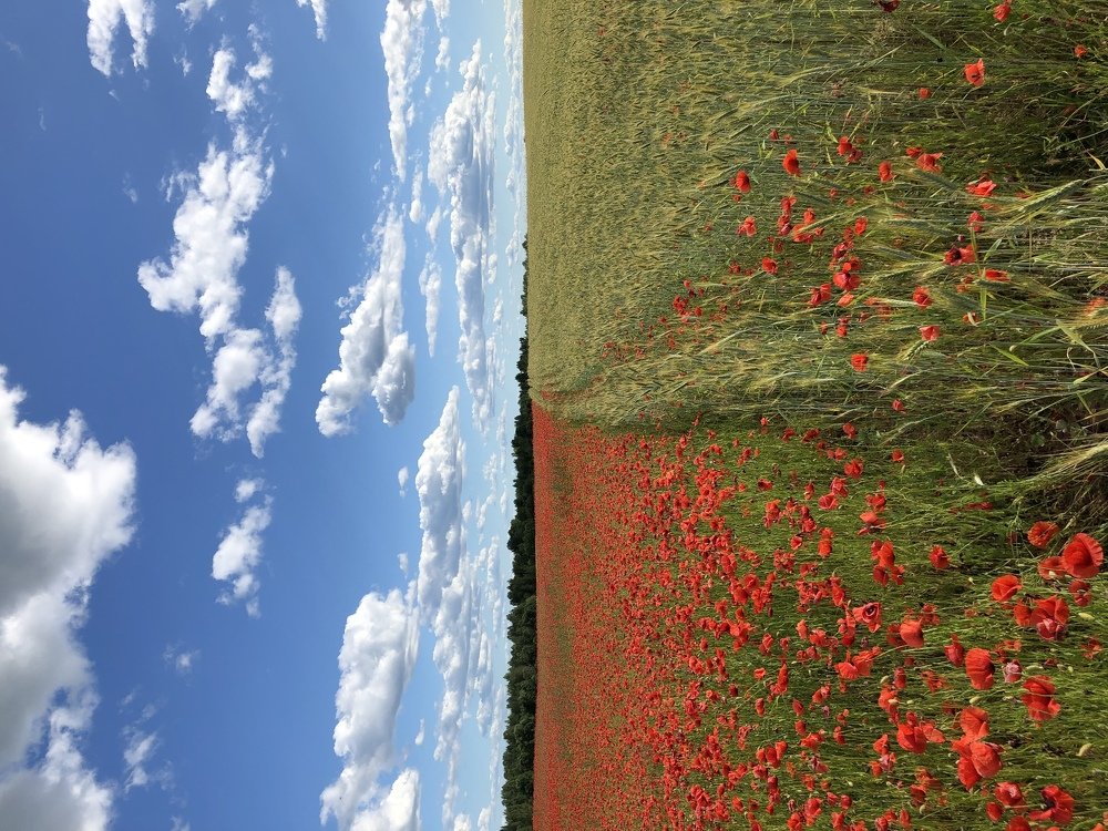 Photograph by Александр Машкарин