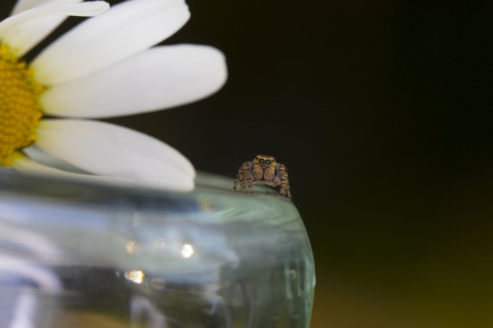 Photograph by Наталья Санталова