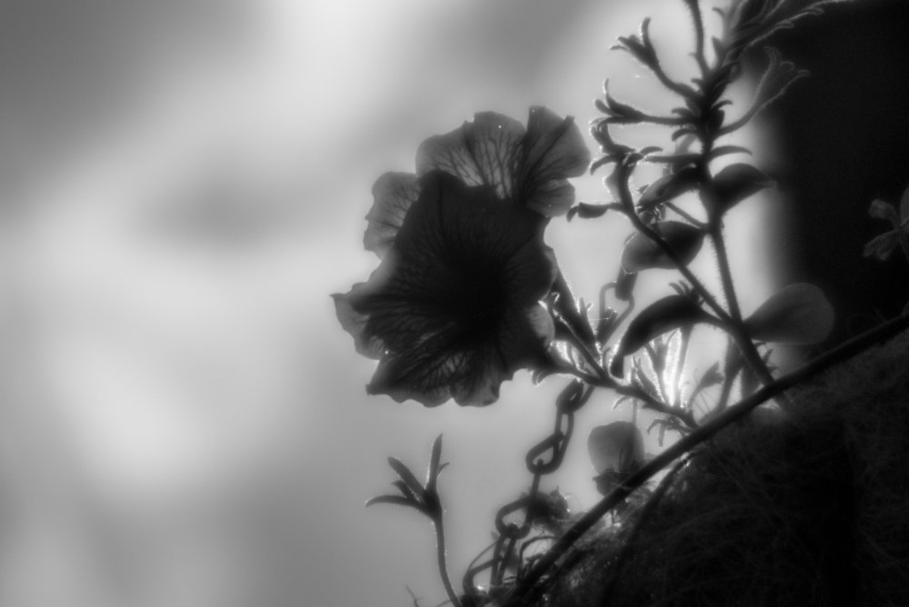 Photograph by Вазген Варданян