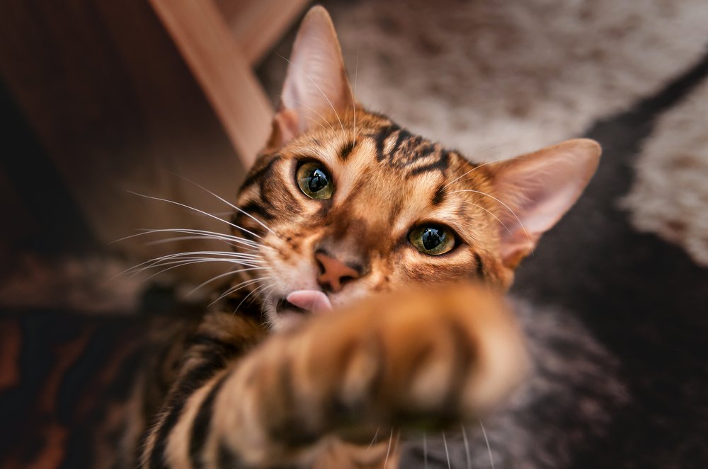 Photograph by Наталья Мизинова