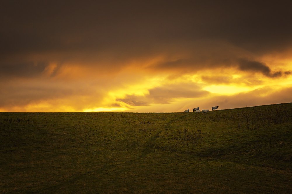 Photograph by Рашид Хайданов