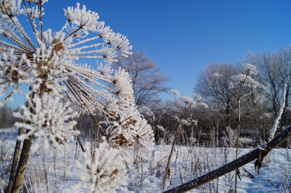 Photograph by Анна