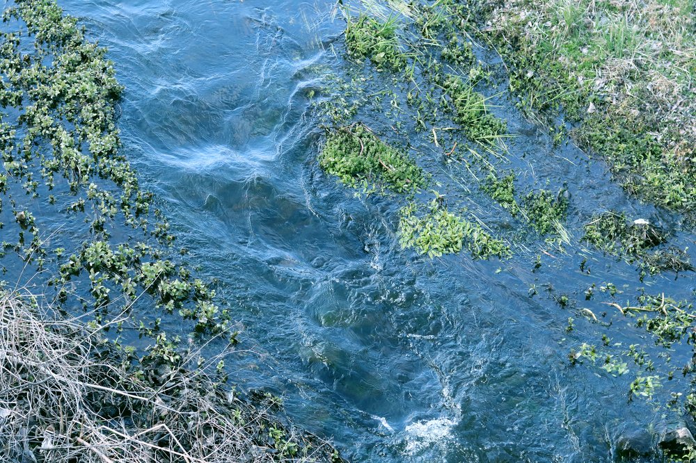 Фотография автора Ольга Никанович