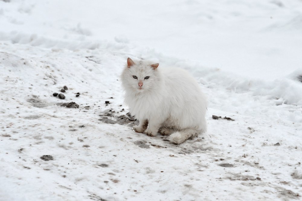 Photograph by Мария Громова