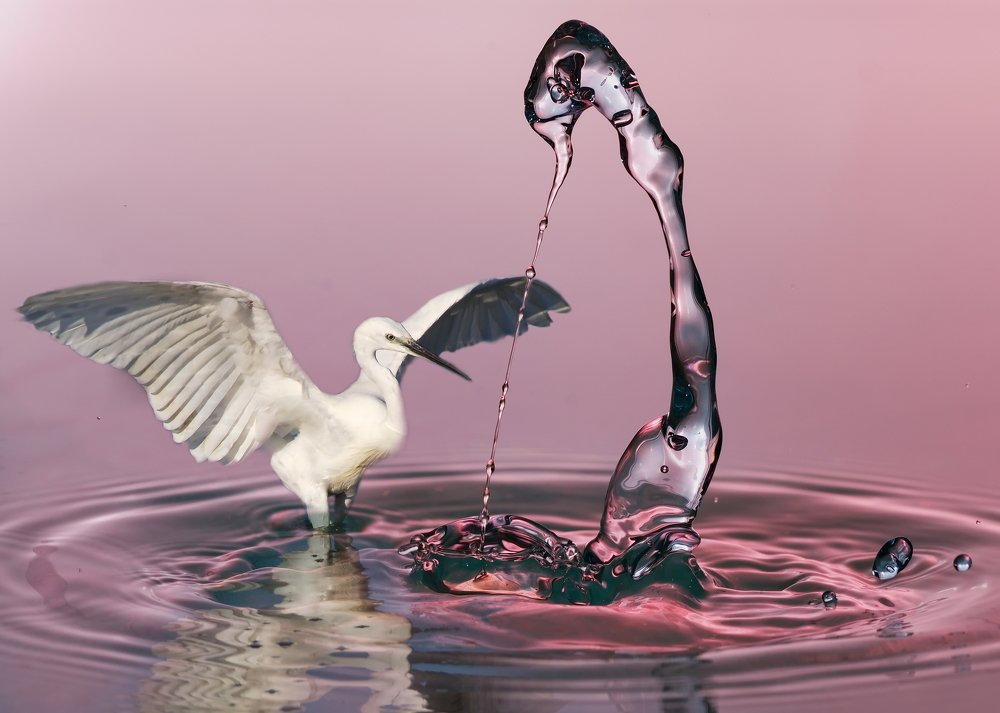 Фотография автора Илан Грабоис