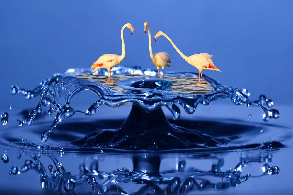 Фотография автора Илан Грабоис