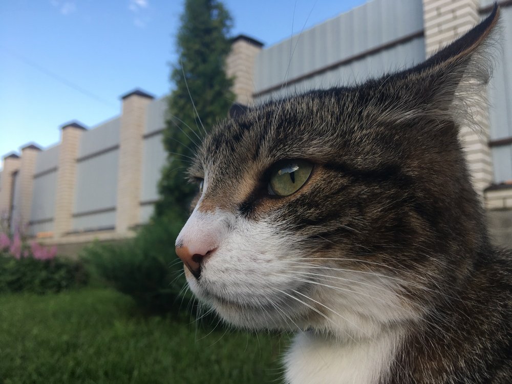 Photograph by Анна