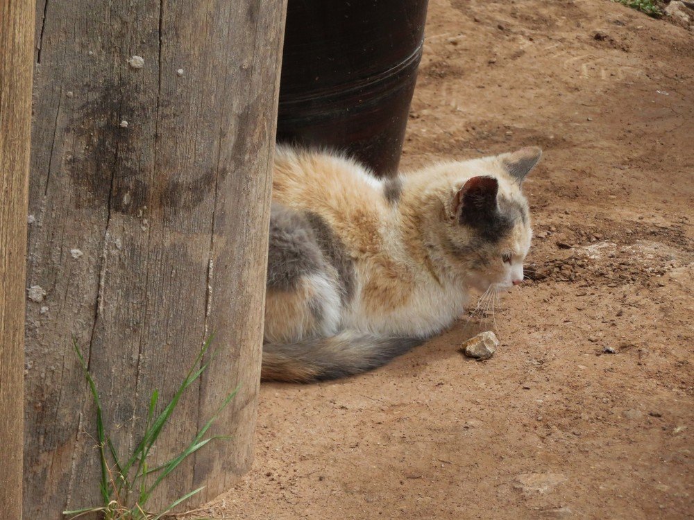 Photograph by Марина Осипова