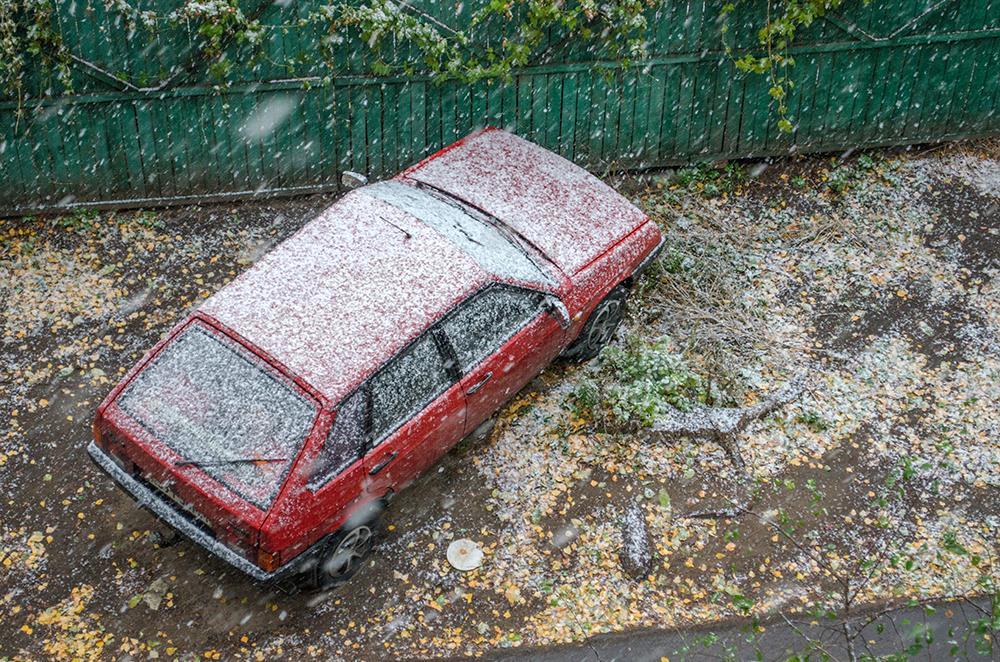 Припорошило