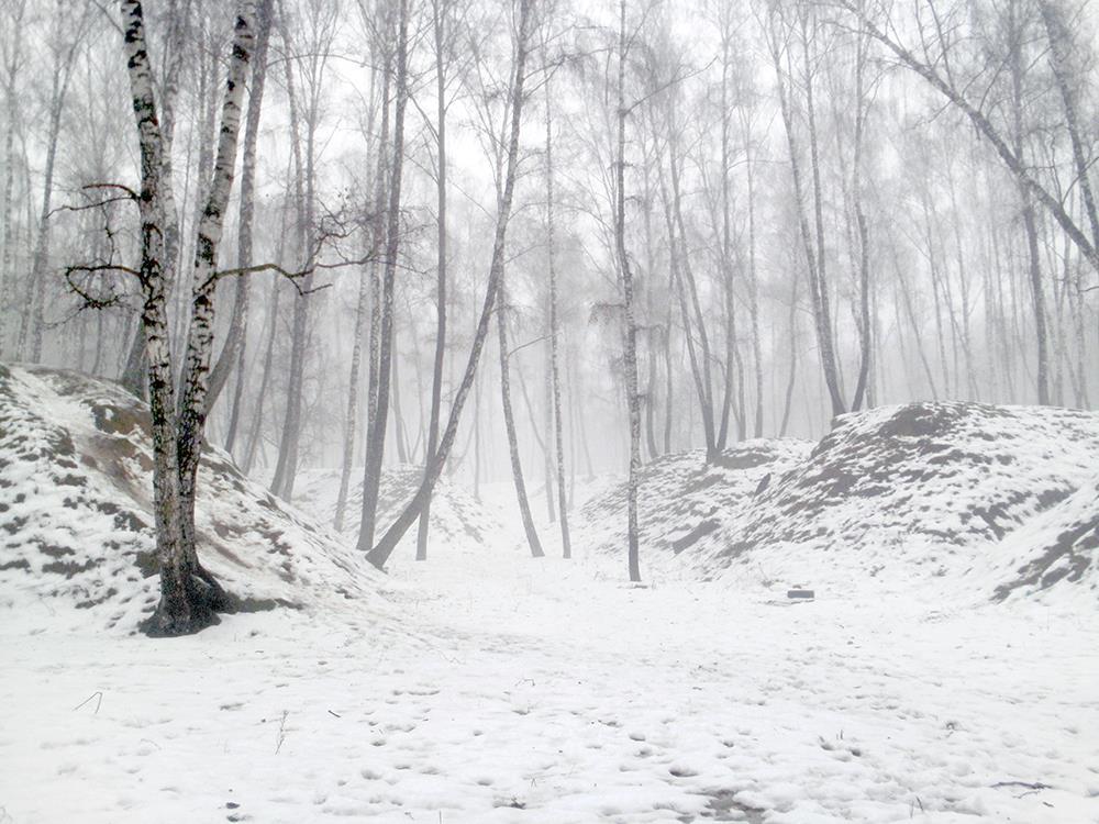 Пасмурный день