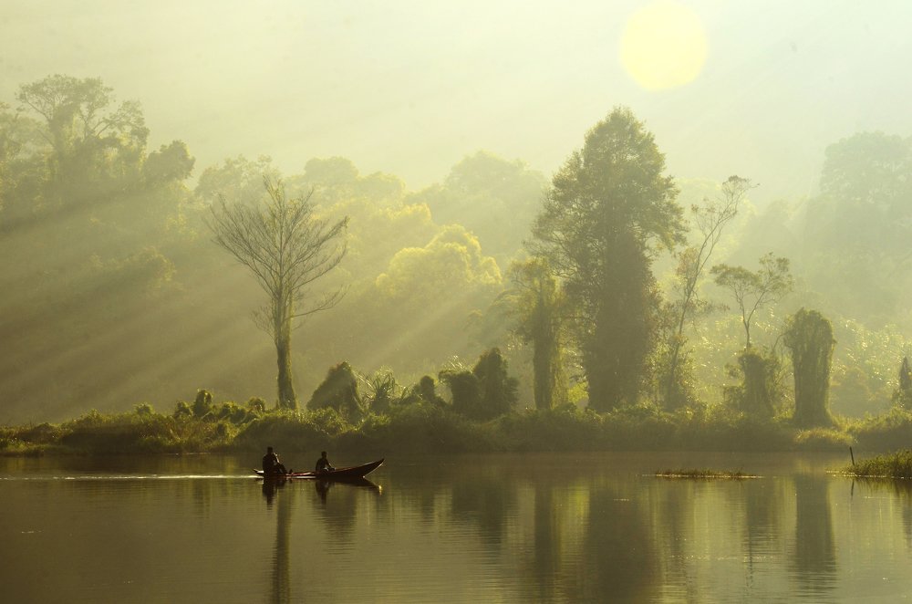 Magnificent of Situ Gunung