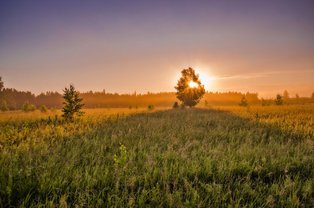 Photograph by Дмитрий Бухтик