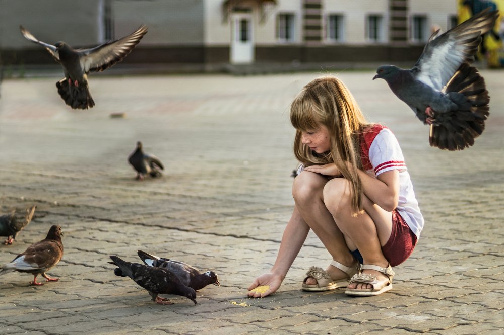 Photograph by Александр Акуленко