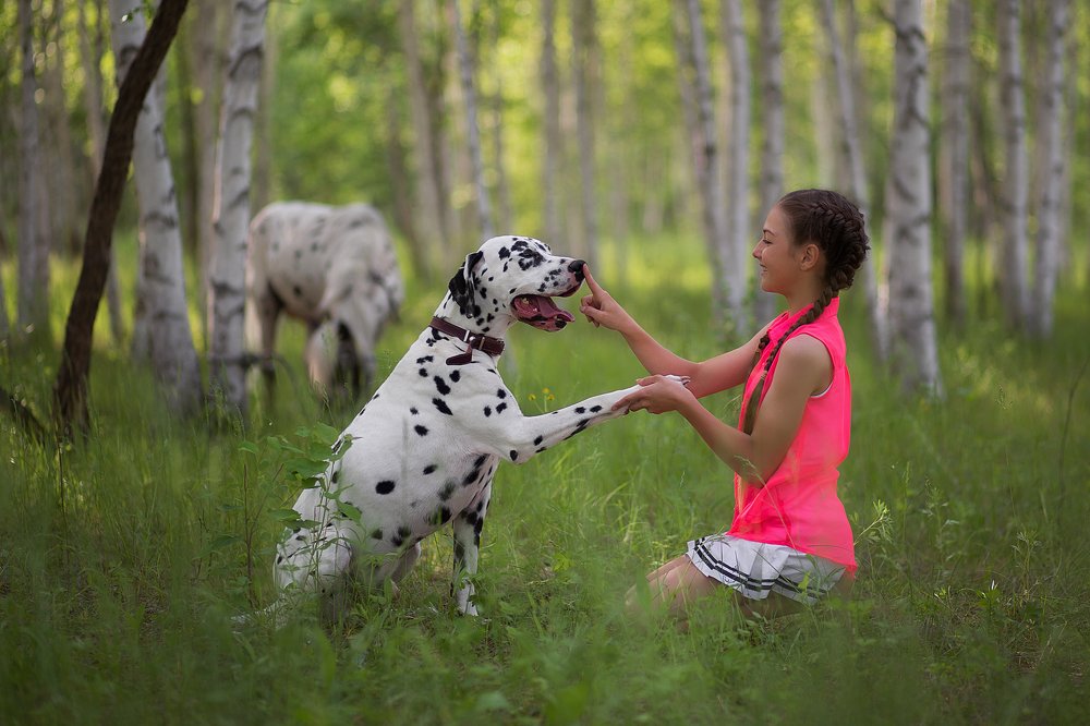 Photograph by Мария Балабанова