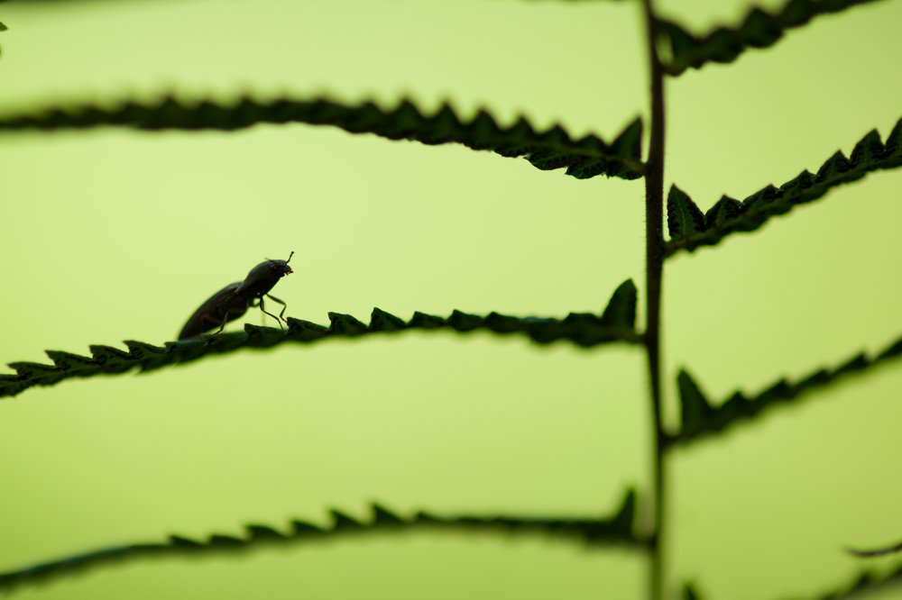 Photograph by chenwei