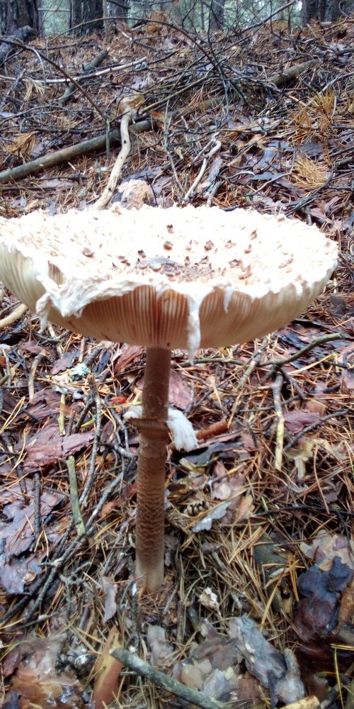 Photograph by Павел Дегтярев