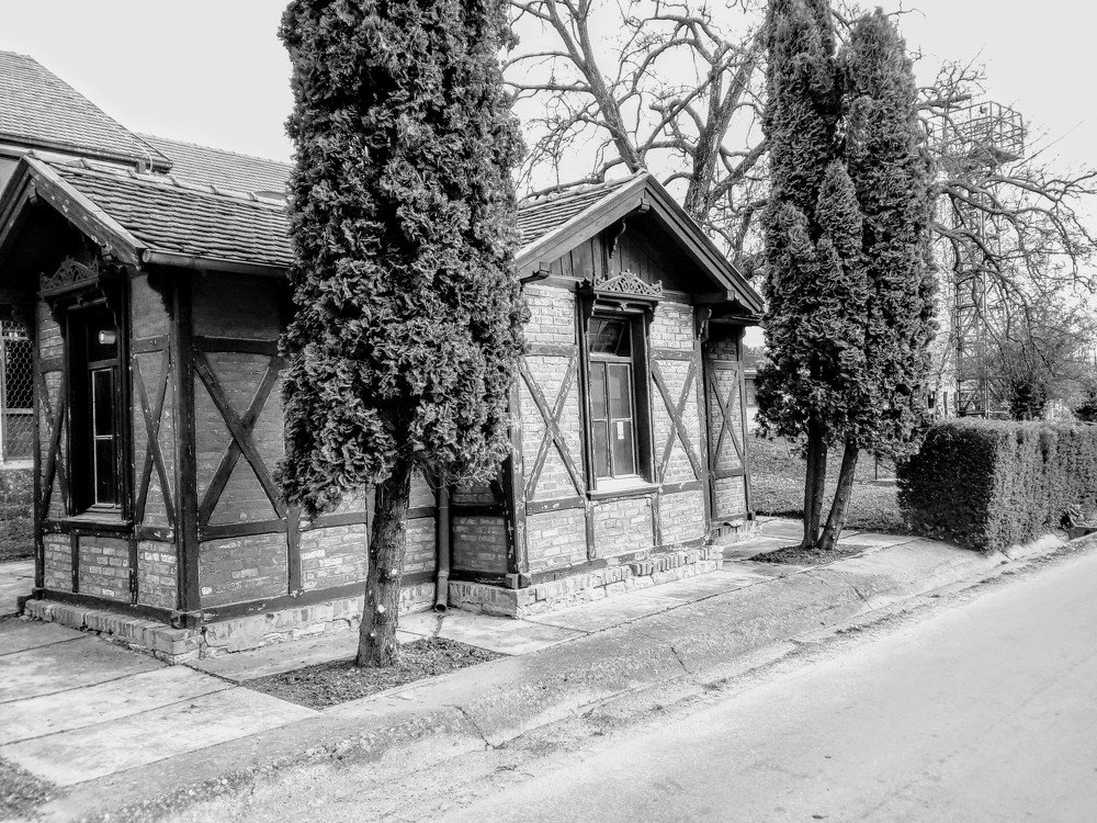 Photograph by Darko Milojevic