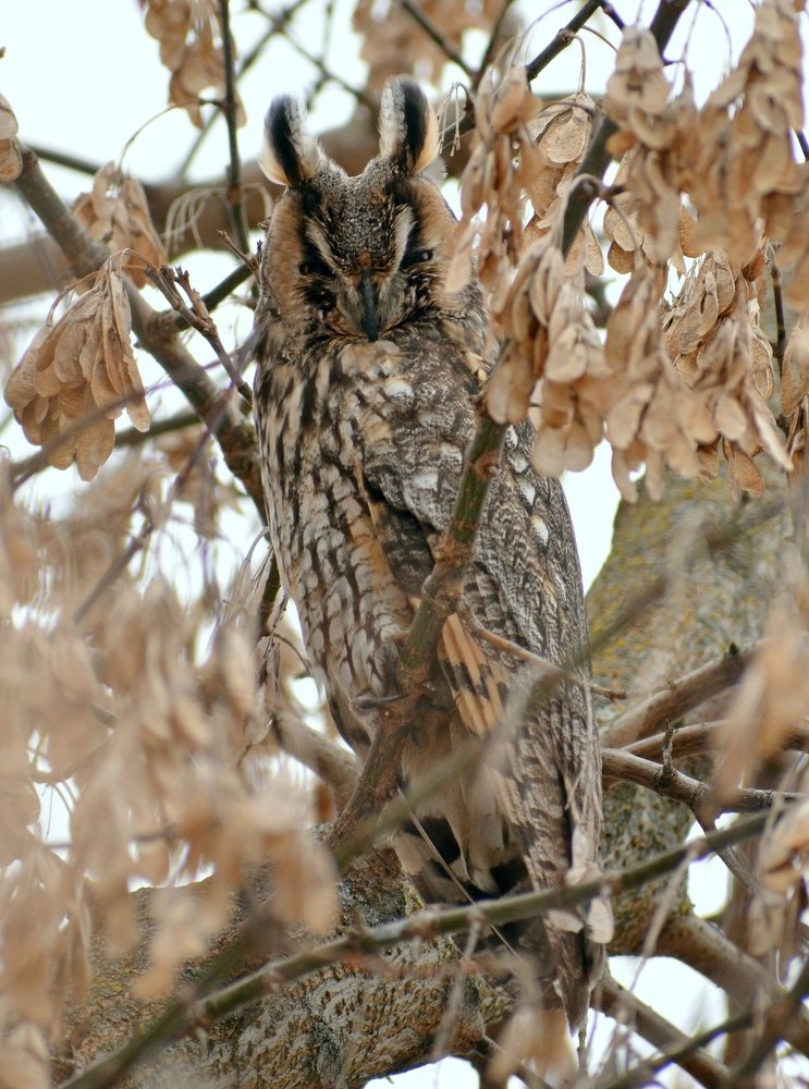 Photograph by Владислав Иопек