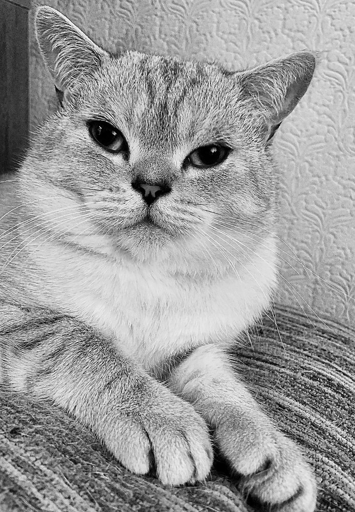 Photograph by Elena
