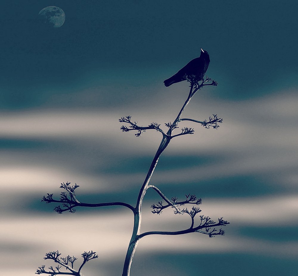 Photograph by Yana Rybakov