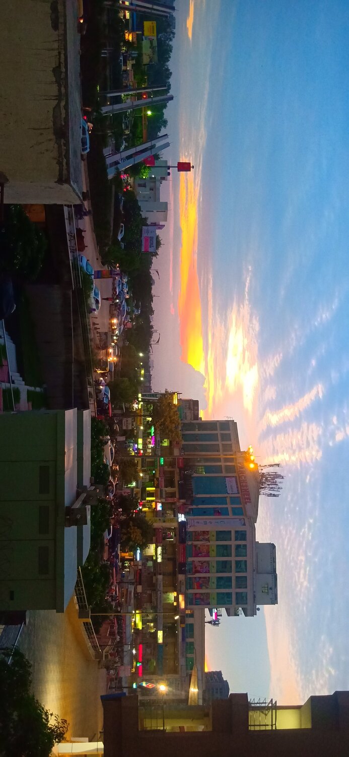 Photo #3541074