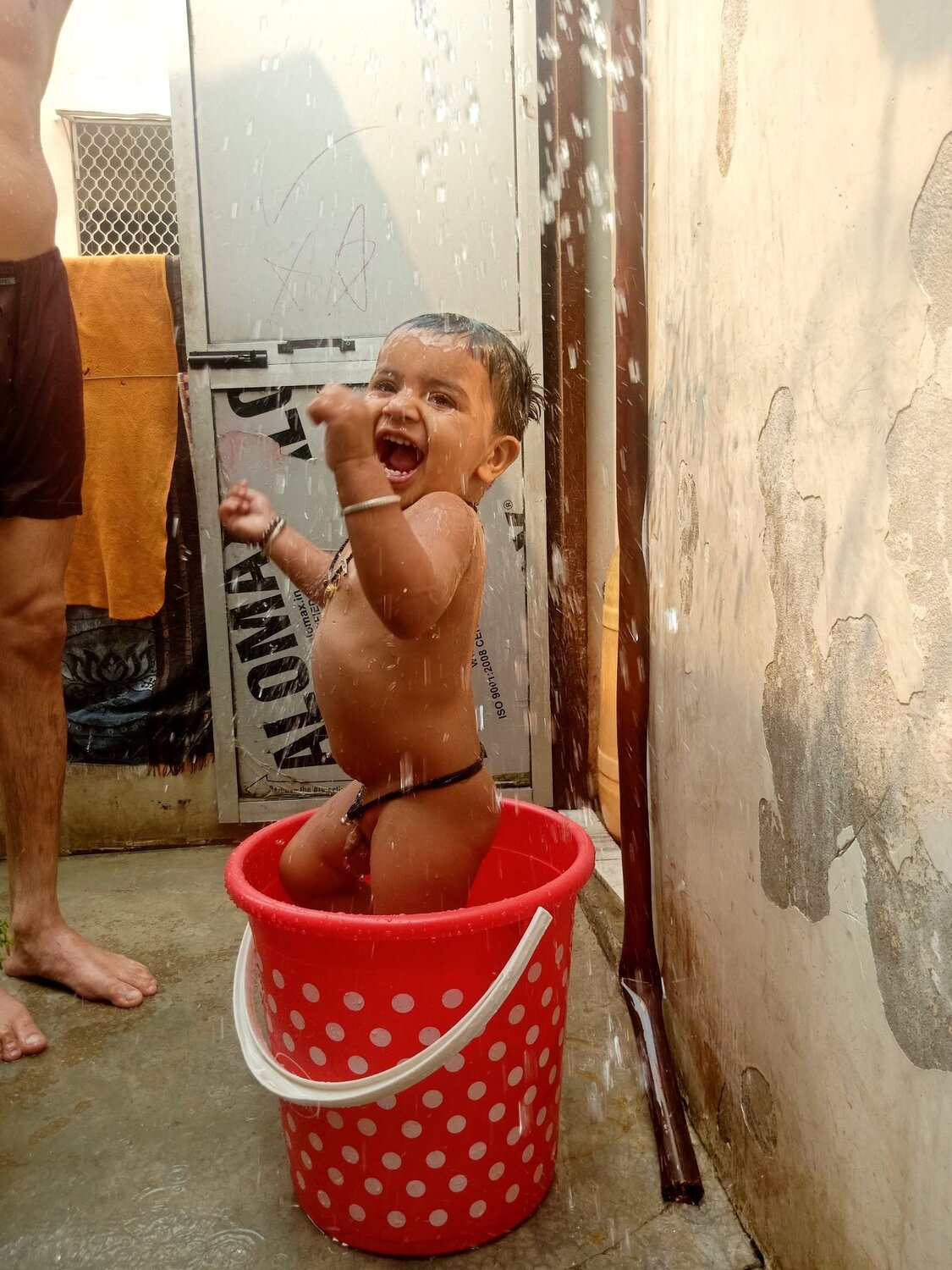 Photo #3541139