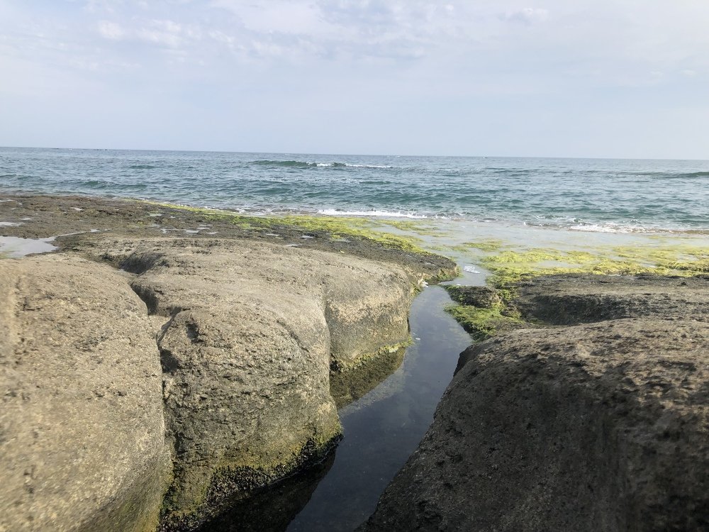 Photograph by Нурслу Кдралиева