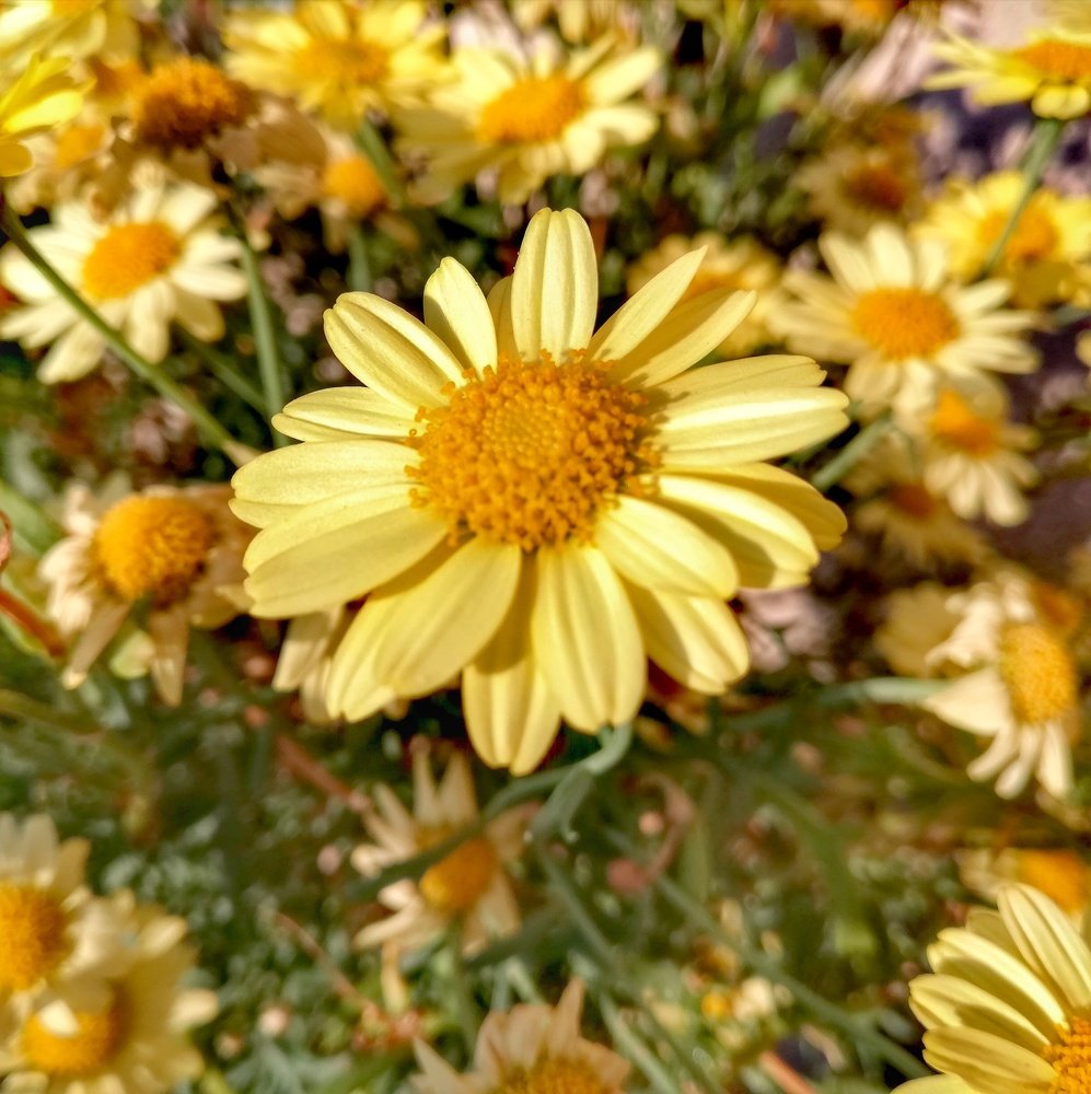 Photograph by Анна