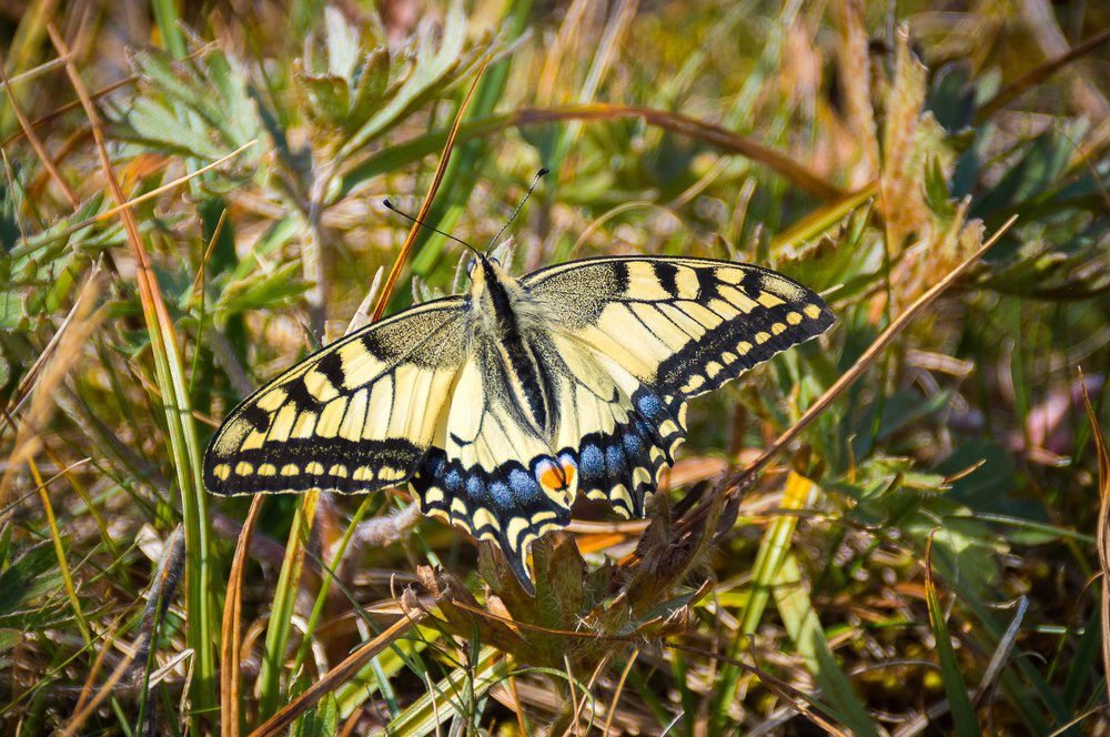 Photograph by Дмитрий Мальцев