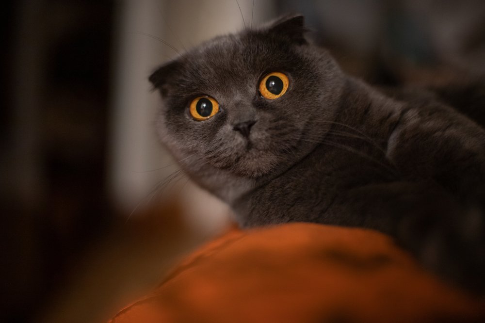 Photograph by Оксана Нечаева