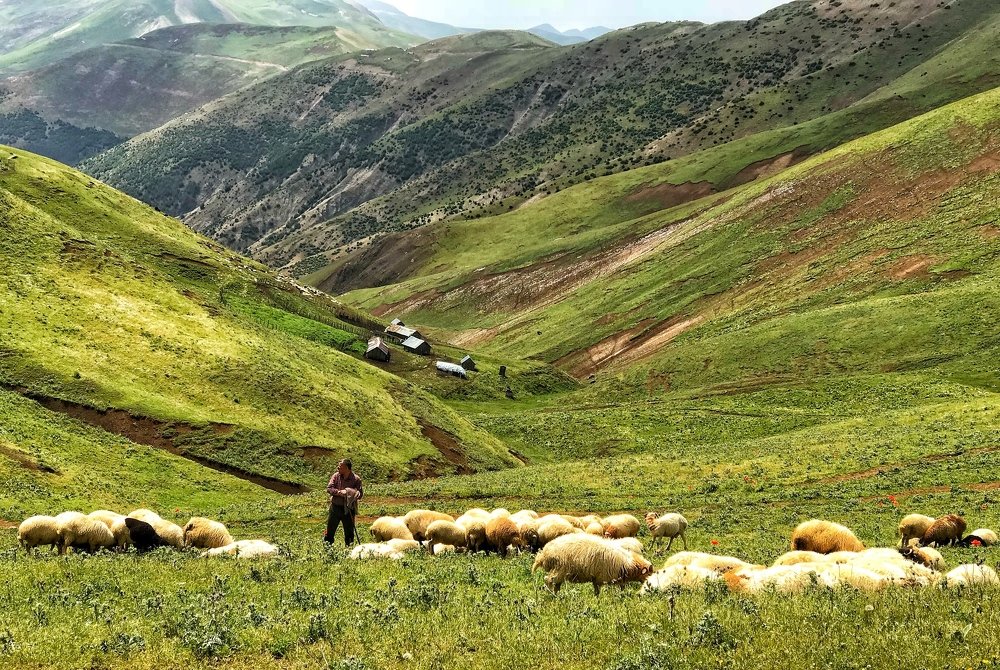 Photograph by  Abolfazl Mokhtari Hassan Abad