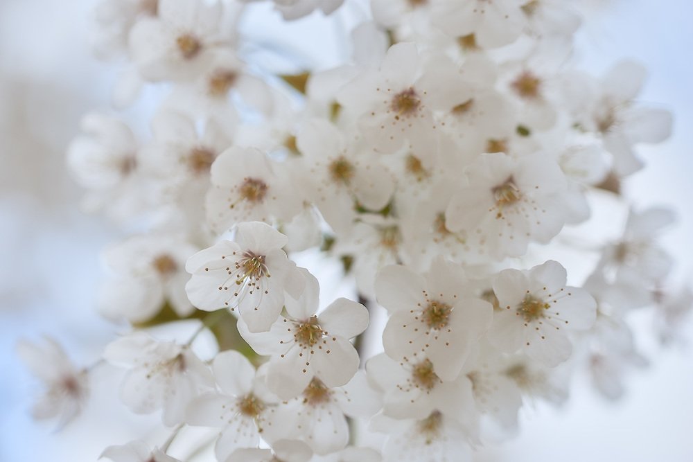 Фотография автора Сергей Овчинников