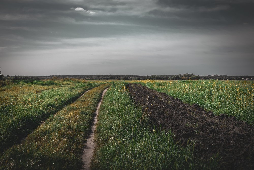 Дорога в даль