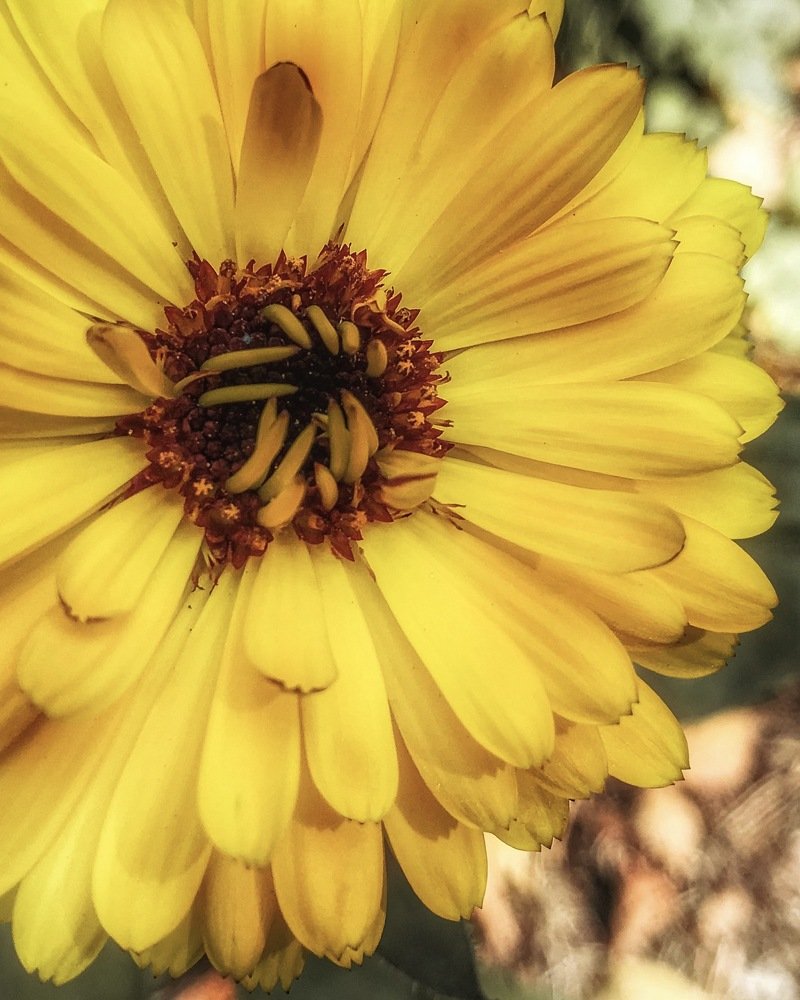 Photograph by Светлана Коваль