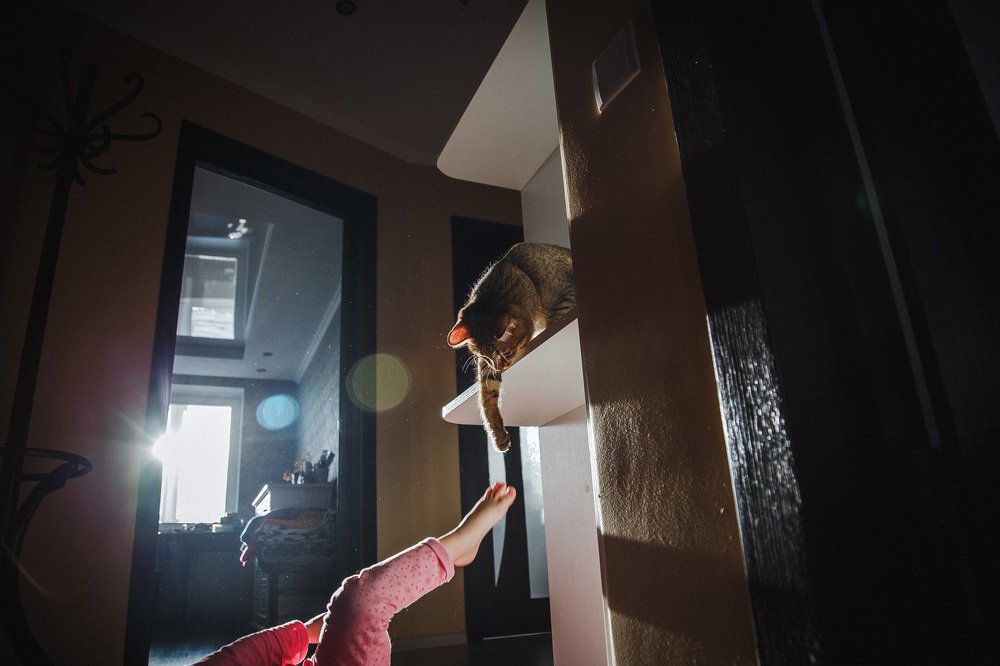 Photograph by Шидловская-Вашкевич Татьяна