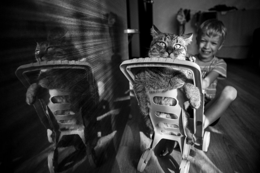 Photograph by Шидловская-Вашкевич Татьяна