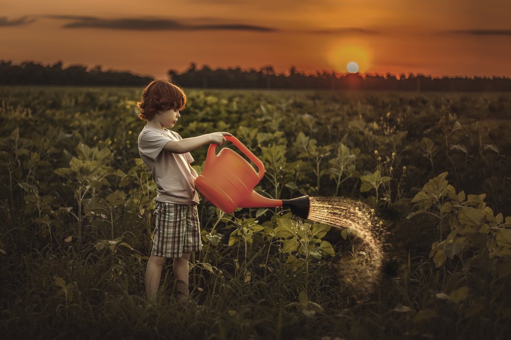 Photograph by Инга Шилина