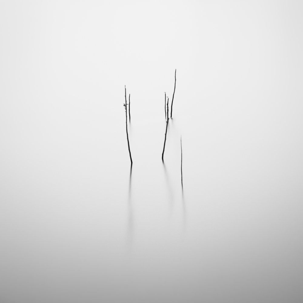 Photograph by  Ready Rey