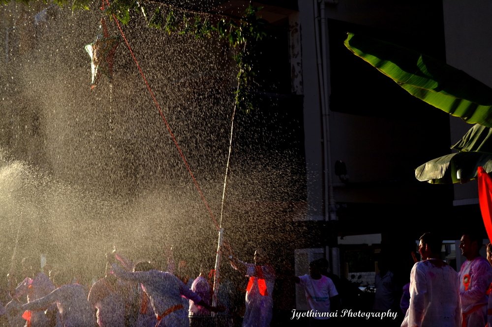 Photograph by Jyothirmai