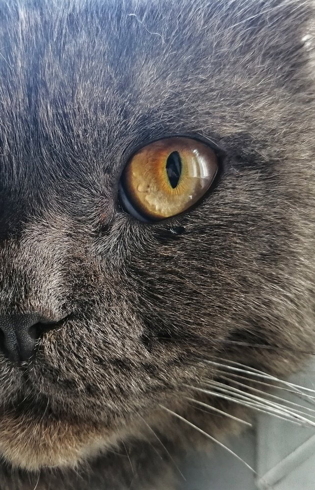 Photograph by Марина Згоник