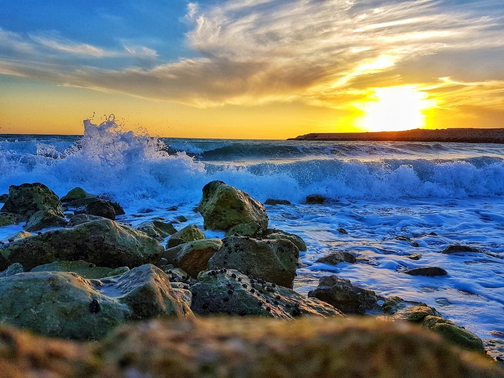 Photograph by Hamed Khoshbin