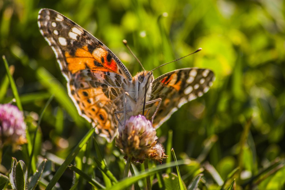 Photograph by Rustam Huseynov